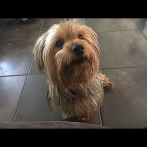 Meet your Posher, Jim